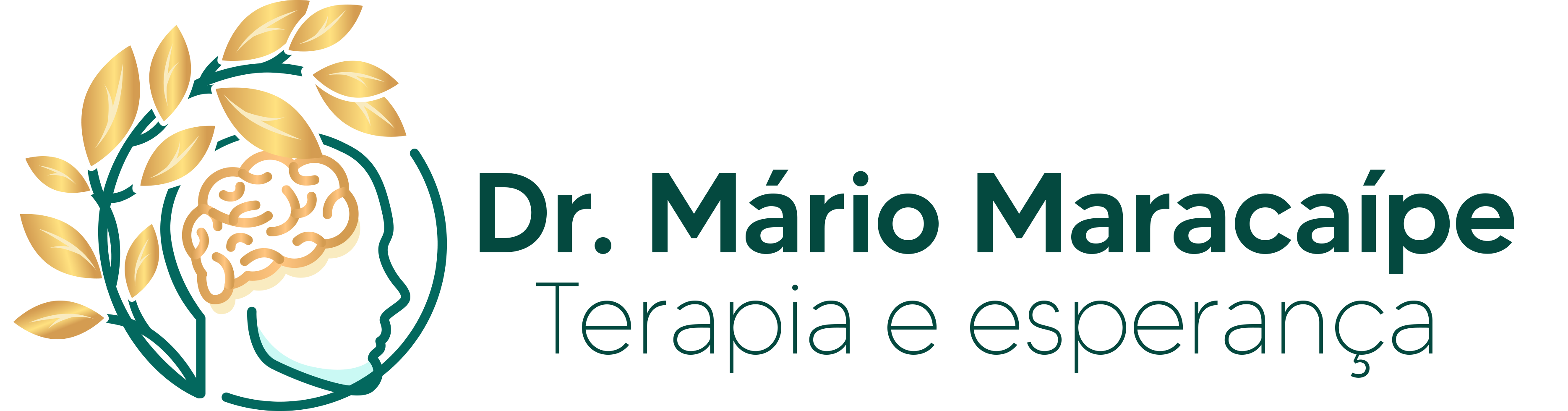 Dr. Mário Maracaípe